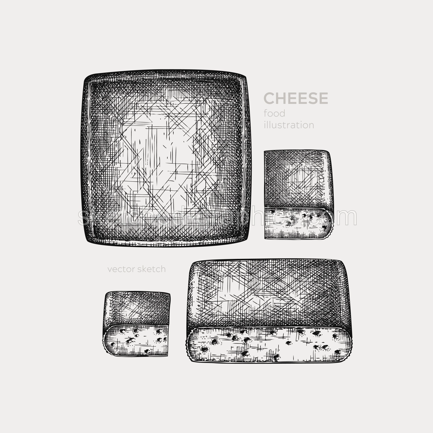 Cheese hand drawn illustration collection. Food design elements. Vector cheese sketches in engraved style. Dairy products drawings for menu, stores, banners, packaging design. Illustration